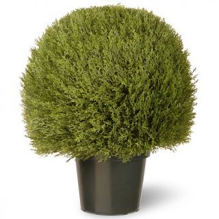 Artificial Topiary Tree 24" Cedar Pine in Green Growers Pot
