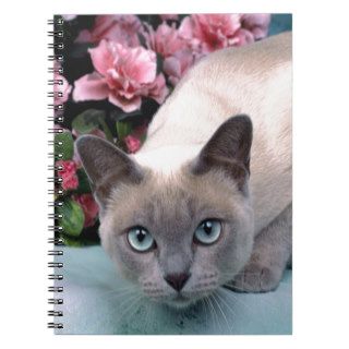Siamese Cat Note Books