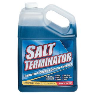 Salt Terminator Gallon Concentrate 31977
