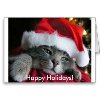Happy Holidays Cute Kitten Card