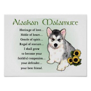 Alaskan Malamute Gifts Print