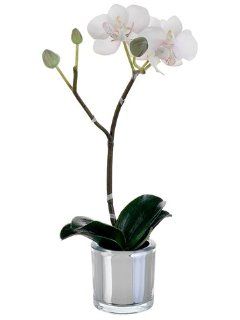 Shop 10" Mini Phalaenopsis Orchid Silk Flower Arrangement  Blush (case of 6) at the  Home Dcor Store. Find the latest styles with the lowest prices from Silks Are Forever