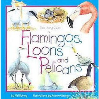 Flamingos, Loons And Pelicans