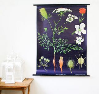 vintage pull down chart 'wild carrot' by bonnie and bell