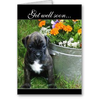 Get well soon Boxer puppy greeting card