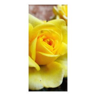 Yellow Rose against Brick Wall Rack Card Design