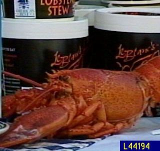 Leblancs Gourmet Lobster Stew —
