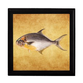 Vintage Pompano Fish   Game Fishes Template Blank Jewelry Box