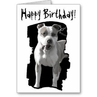 Happy birthday pitbull greeting card