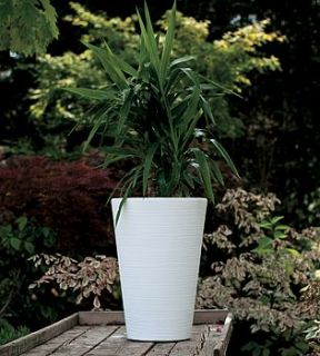 lilium textured plant pot by advantay gardenia