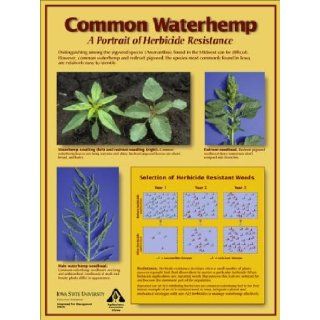 Common Waterhemp Poster (A PORTRAIT OF HERBICIDE RESISTANCE, INTEGRATED PEST MANAGEMENT) IOWA STATE UNIVERSITY EXT. Books