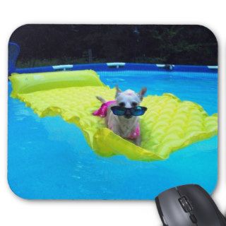 chihuahua swimsuit mousepad