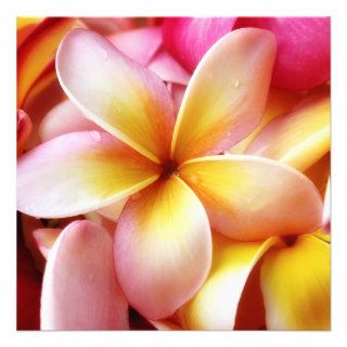 Plumeria Frangipani Hawaii Flower Customized Blank Personalized Invitation