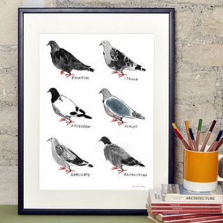 homing pigeons print by the alice tait shop