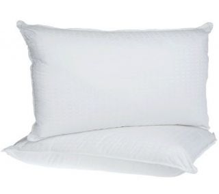 Sealy Posturepedic Set of 2 300TC Foam & Fiber King Pillows —