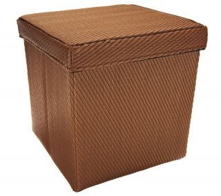 Barbara King Indoor/Outdoor 16x16 Foldable Storage & Seating Cube it —