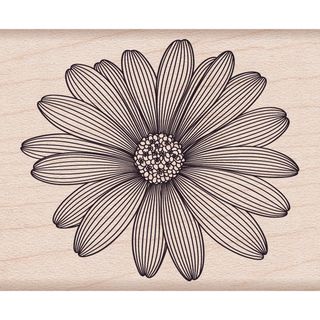 Hero Arts Mounted Rubber Stamps 4"X1" Etched Daisy Hero Arts Wood Stamps