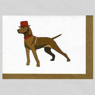 illustrated vizsla blank card by illustrated cards