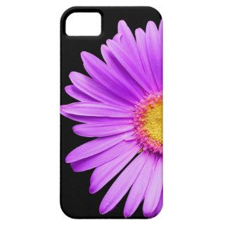 Purple Daisy on Black Background Template   Custom iPhone 5 Cases