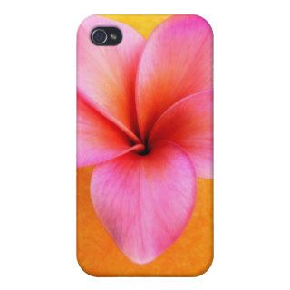 Pink Plumeria Frangipani Hawaii Flower Hawaiian iPhone 4/4S Covers