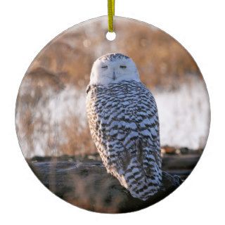 Snowy Owl Winking Ornament