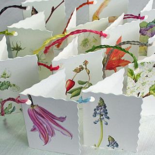 pack of six assorted botanical gift tags by the botanical concept