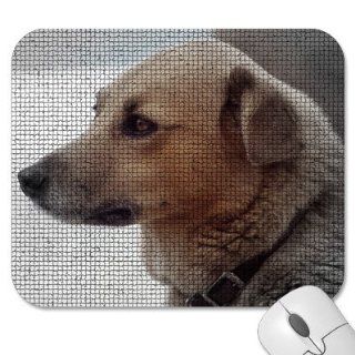 Mousepad   9.25" x 7.75" Designer Mouse Pads   Dog/Dogs (MPDO 407) Computers & Accessories