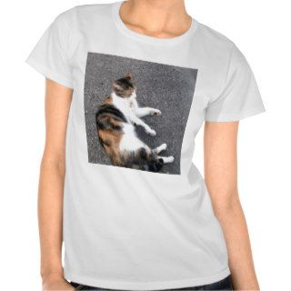 Calico Kitty T Shirts