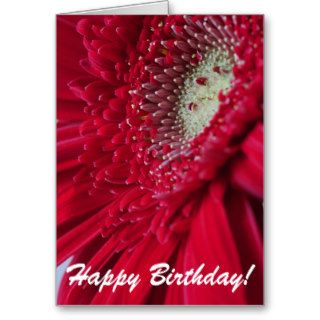 Red Gerber Daisy Happy Birthday Card