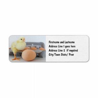Chick and Egg Carton with Brown Egg Return Address Labels