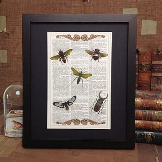 upcycled antique paper insects art print by roo abrook