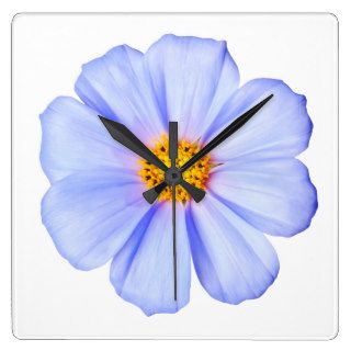 Blue Flower   Customized Cosmos Daisies Template Clocks
