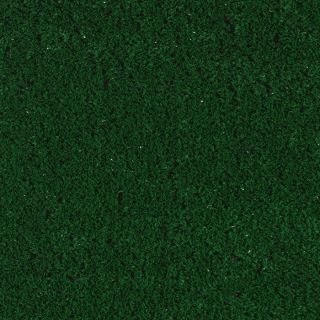 Bonanza Ivy Green Indoor/Outdoor Carpet
