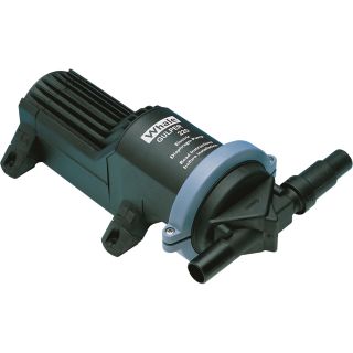 Whale Gulper 220 Diaphragm Pump — 3/4in. Ports, 300 GPH, 12 Volt Motor, Model# HD1552  12 Volt Pumps