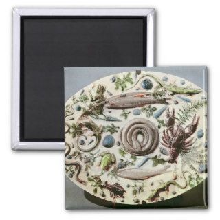 Rustique Figuline' dish with a white background Fridge Magnets