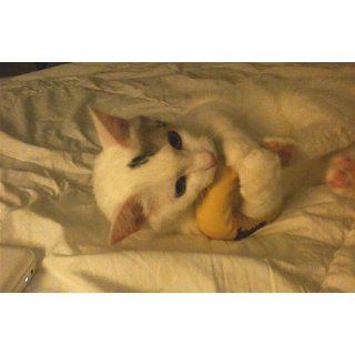Yeowww Catnip Toy, Yellow Banana  Cat Toys 