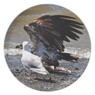 Baby Bald Eagle Movement Dinner Plates