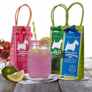 Jeffrey Banks Lemonade Mix Assortment