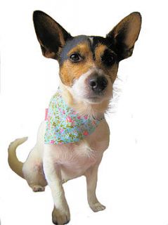 dog neckerchief by bijou gifts