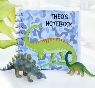 dinosaur notebook by amanda hancocks