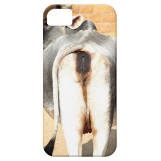 A cool i phone case animal back iPhone 5 case