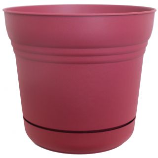 Bloem Union Red Saturn Planters (pack Of 6)