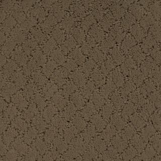 Dixie Group Trusoft Galesburg Brown Fashion Forward Indoor Carpet