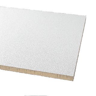 Armstrong 8 Pack Clean Room Ceiling Tile Panel (Common 24 in x 48 in; Actual 23.813 in x 47.813 in)