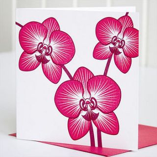 orchid letterpress greeting card by marram studio