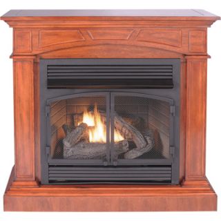 ProCom Dual Fuel Fireplace and Mantel —  32,000 BTU, Model# PCFD32RT-M-MO  Dual Fuel Gas   Propane Heaters