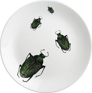 small creeping beetle plates   set of six by natural history