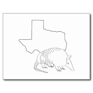 Texas Armadillo Sketch Postcards