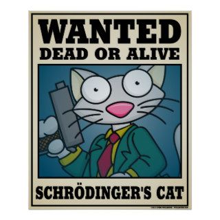 Schrödinger's Cat Poster