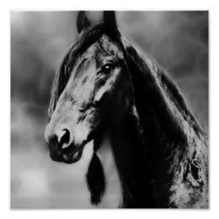 Apache horses print